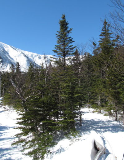 Arriving in Chimney Pond